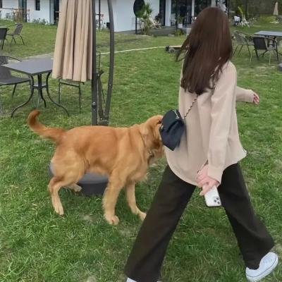 摩登原始人：圣诞礼赞